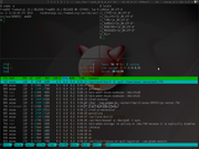 Tiling window manager FreeBSD + i3wm